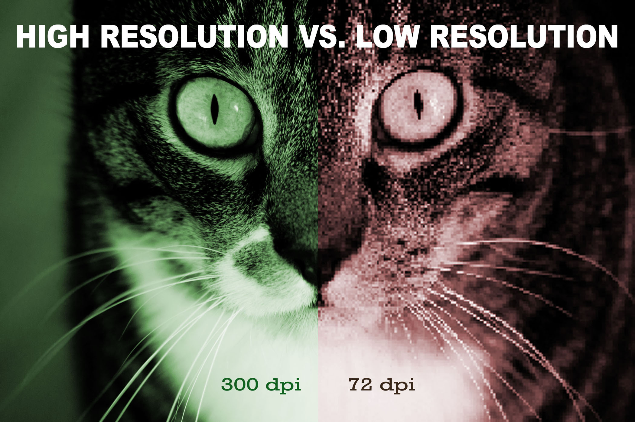 Image resolution is. Low Resolution. Low Resolution pictures. Resolution.